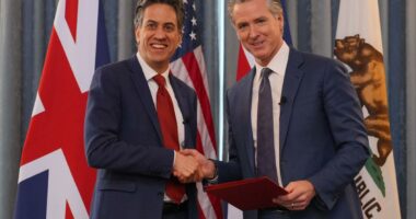 Newsomâs UK clean energy pact ripped for âinsanity,â as critics question effectivenessÂ 